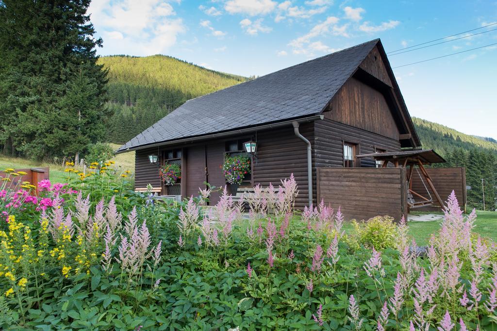 Gasthof Draxlerhaus ホーエンタウアーン エクステリア 写真