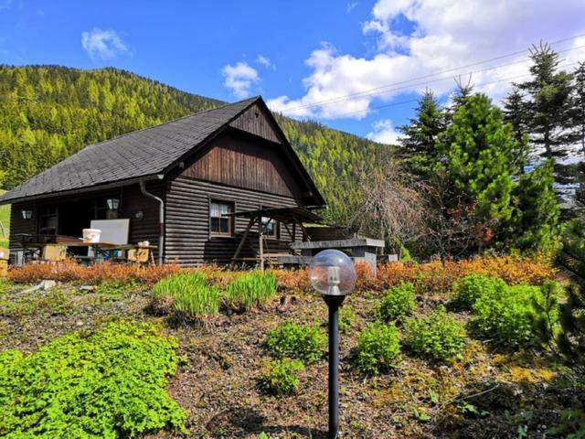 Gasthof Draxlerhaus ホーエンタウアーン エクステリア 写真